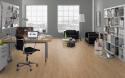 Parchet laminat Natural Starwell oak 10mm-ELP115 Egger Germania