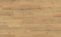 Parchet laminat Light oak 8mm-ELP122 Egger Germania